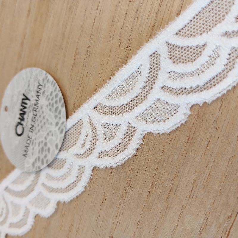 Elastic | Width 2 cm | 60703