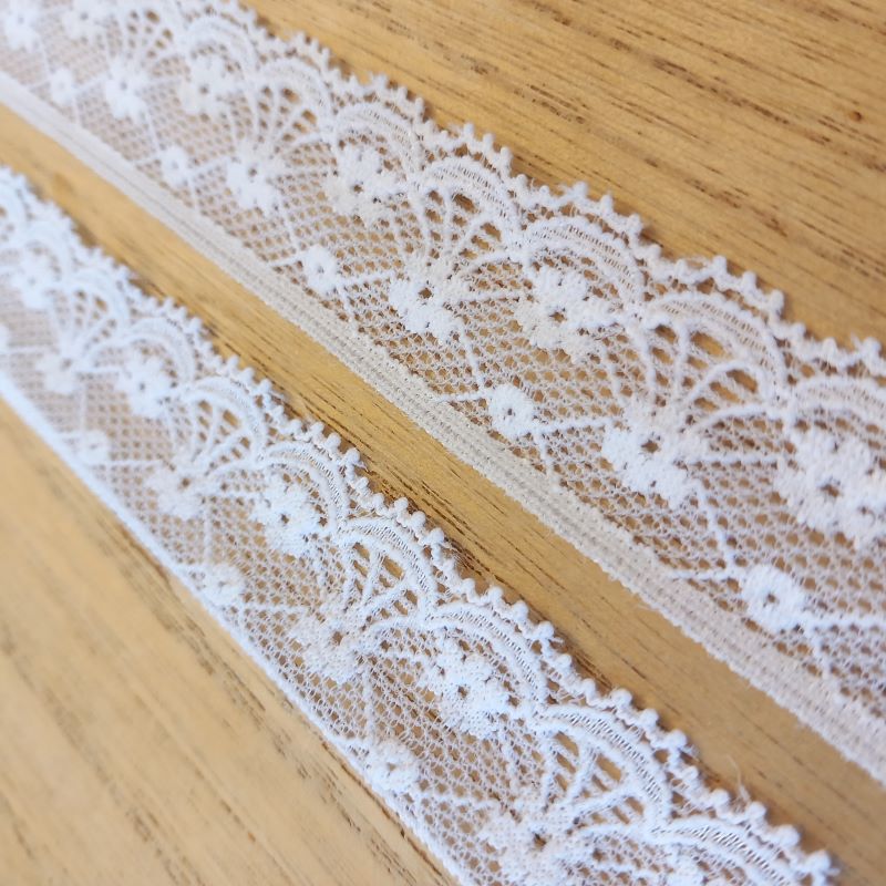 Elastic | Width 2 cm | S5780