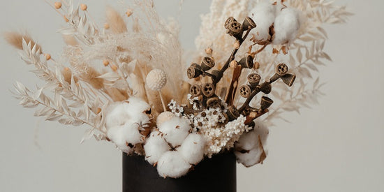 Bouquet of dried cotton flowers