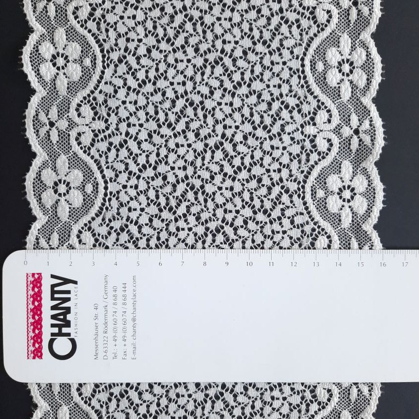 Elastic | Width 17 cm | Echo | 61774